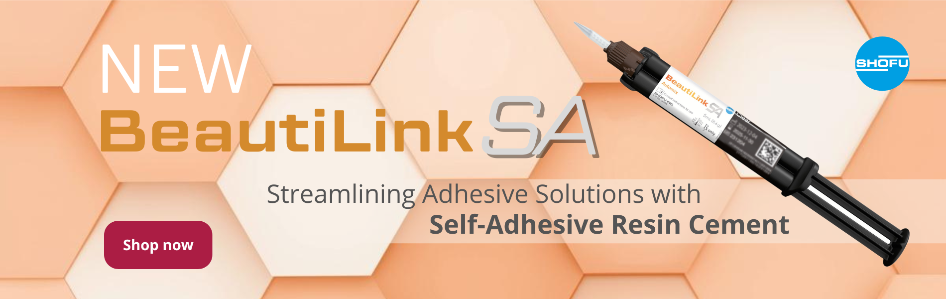 NEW Beautilink web banner